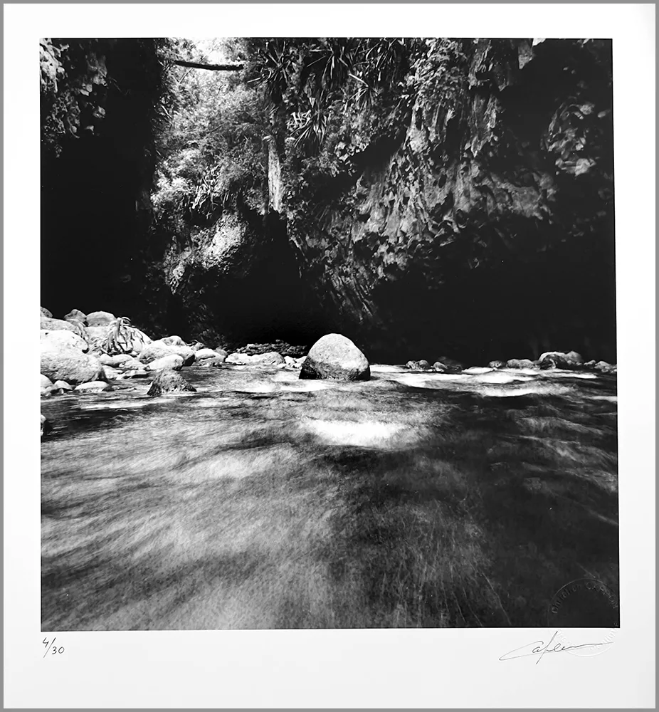 Bras de la plaine C.CAPRON photographie