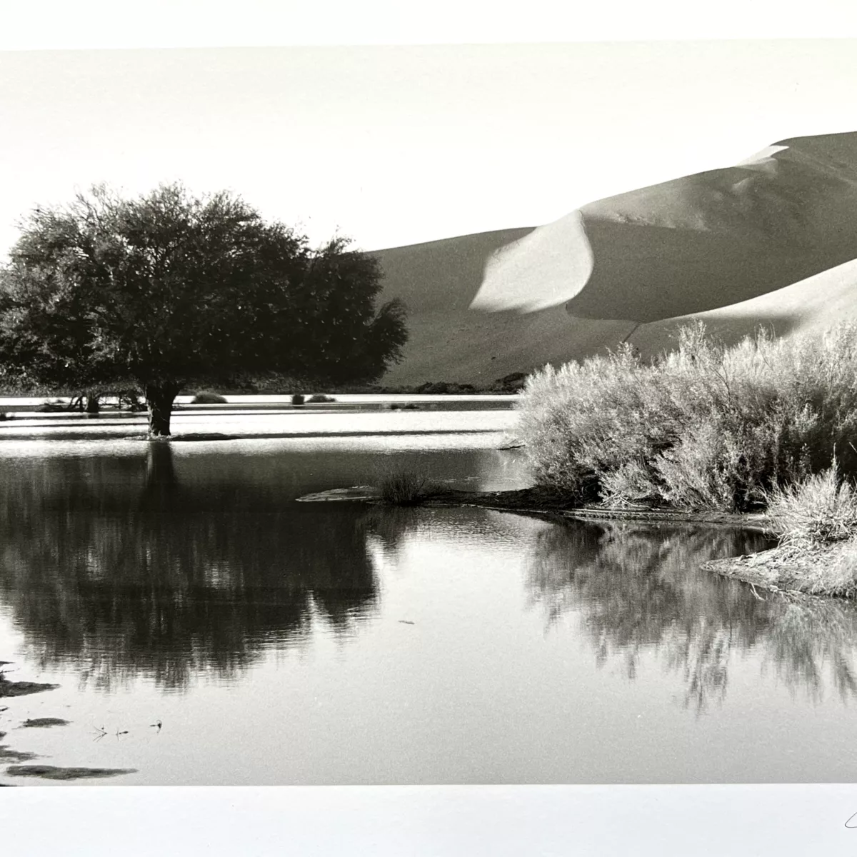 Photographie argentique Christian Capron Photographie