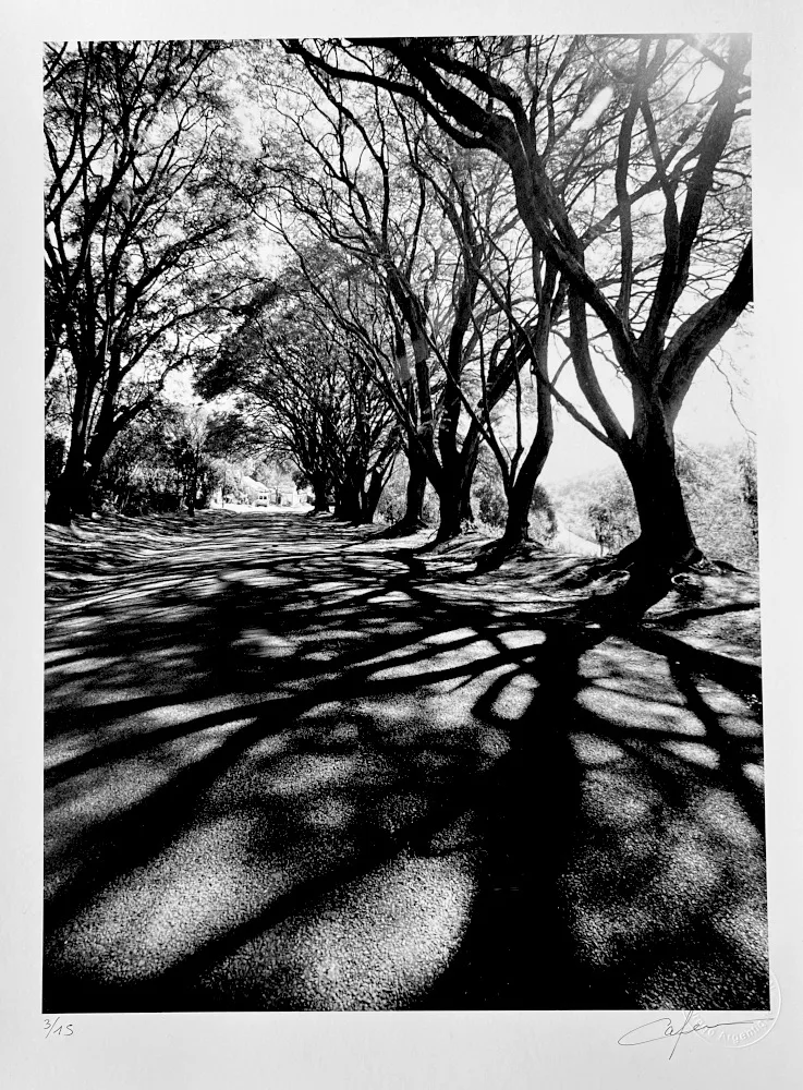 Le murmure des ombres C.CAPRON