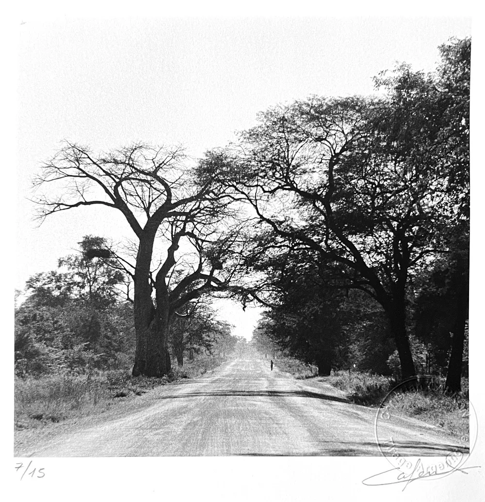 Piste Baobab. Tirage argentique C.CAPRON