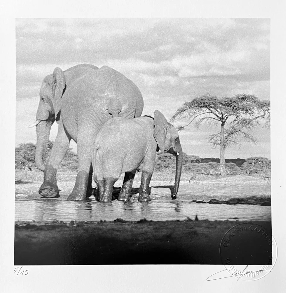 Soifs des géants. Tirage argentique Christian CAPRON Photographie